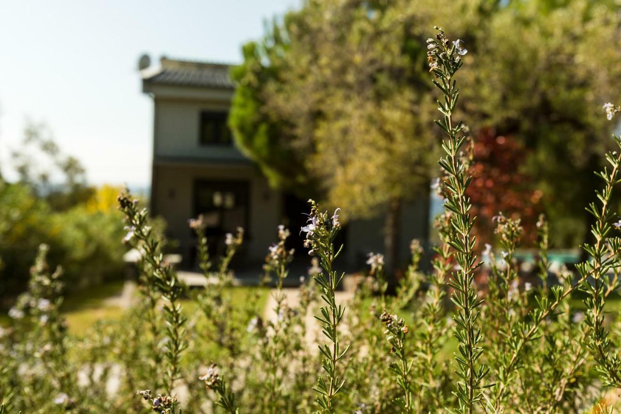 Villa Olivia Estate Elia Nikitis Exterior foto